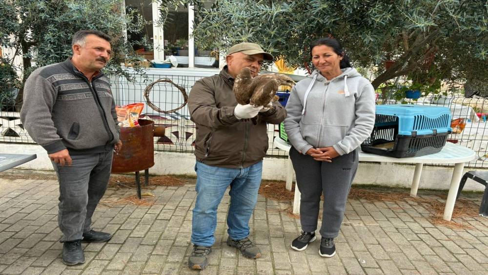 Kuşadası&rsquo;nda yaralı şahin tedavisinin ardından doğaya bırakıldı