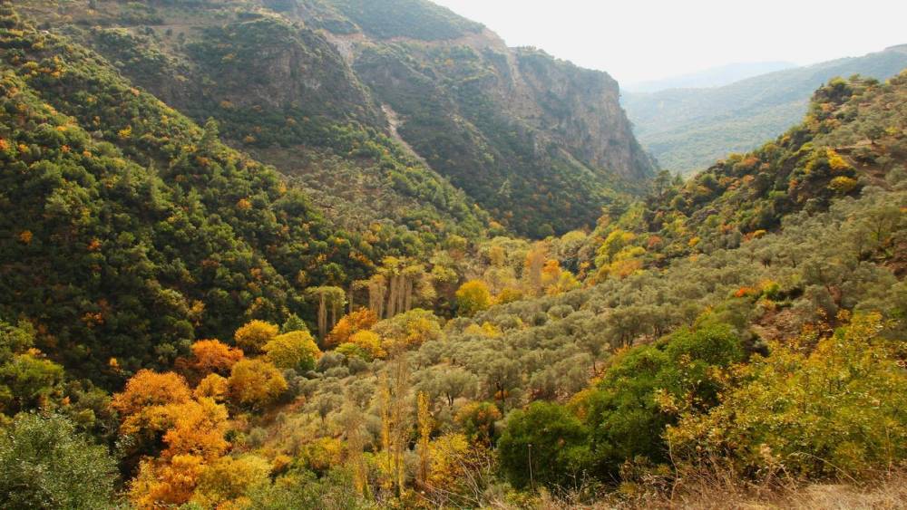 EKODOSD özgün klima özelliği ile bilinen Koçak Kanyonu’na dikkat çekti