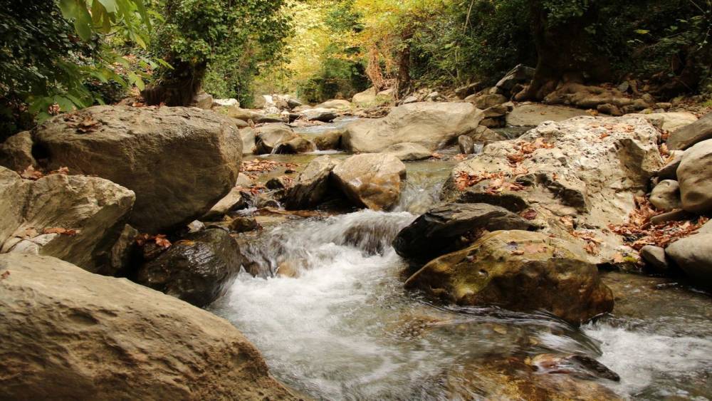 EKODOSD özgün klima özelliği ile bilinen Koçak Kanyonu’na dikkat çekti