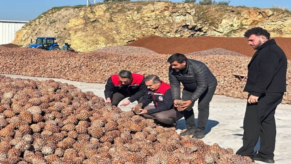 Ko&ccedil;arlı&rsquo;da &Ccedil;am Fıstığı işleme tesisindeki &ccedil;alışmalar yerinde incelendi
