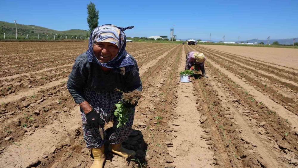 İş&ccedil;i Bayramı&rsquo;nın &ouml;teki y&uuml;z&uuml;
