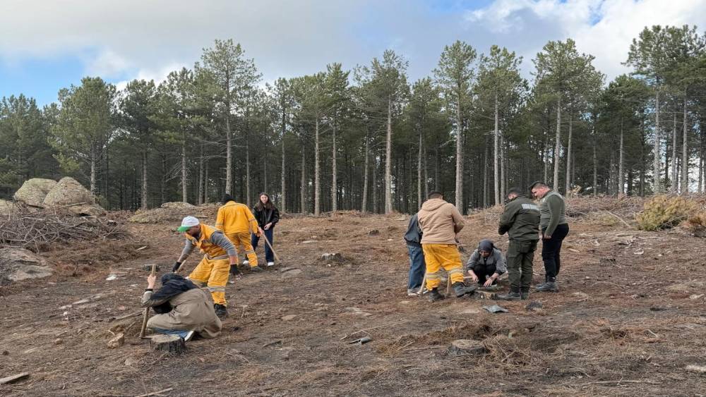 Kırşehir’den gelen üniversite öğrencileri Çine’de fidan dikti
