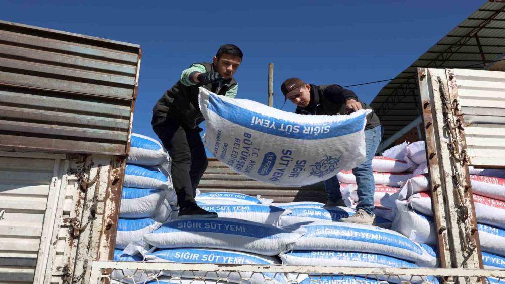 Aydın B&uuml;y&uuml;kşehir&rsquo;in yem desteği devam ediyor

