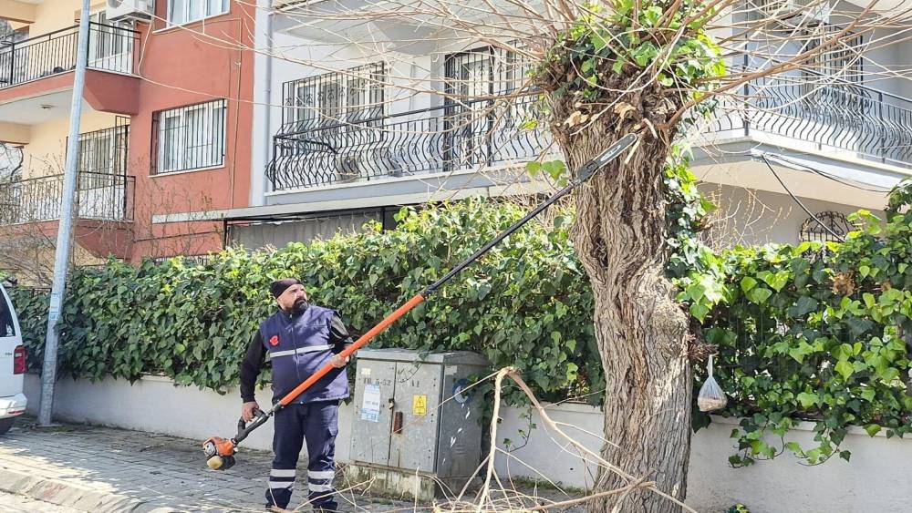 Efeler Belediyesi&rsquo;nden tarihi mahallelerde &ccedil;evre d&uuml;zenlemesi
