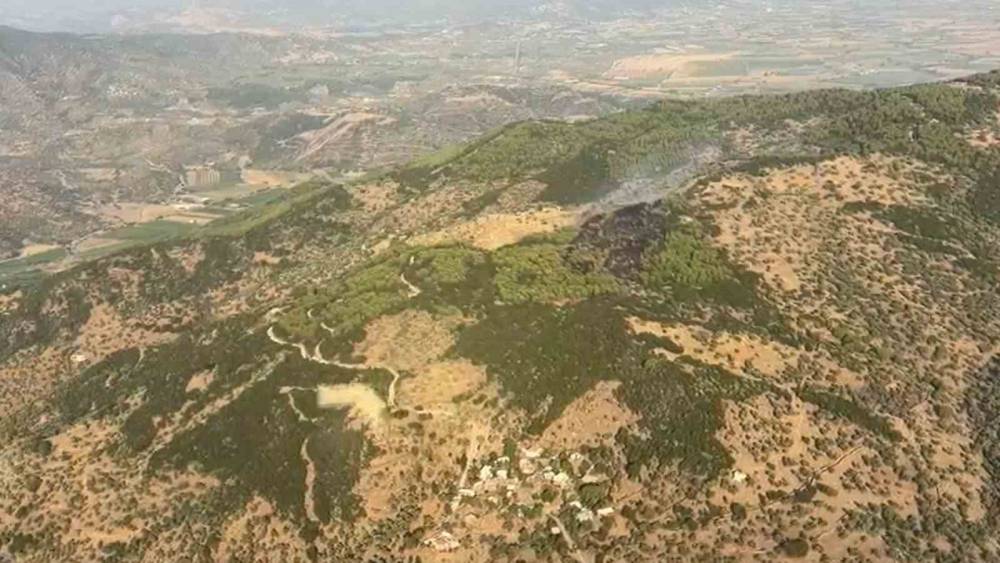 &Ccedil;ine&rsquo;deki orman yangını kontrol altına alındı
