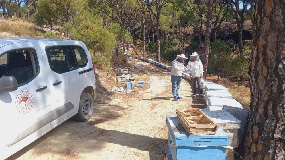 Bozdoğan&rsquo;da arılı kovan desteği i&ccedil;in sahada tespit &ccedil;alışması
