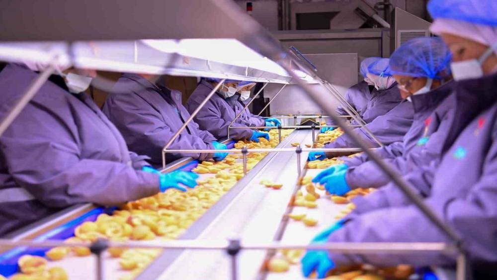 Vali Canbolat, Köşk’te gıda tesisini inceledi

