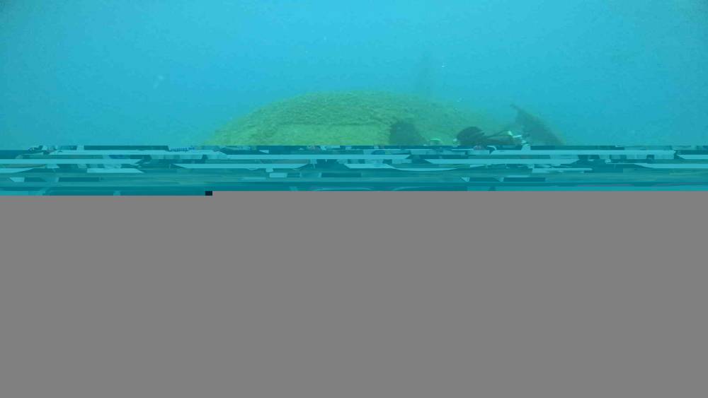 Didim Belediyesi Kadın Meclisi, Kasım ayında ilk toplantısını gerçekleştirdi
