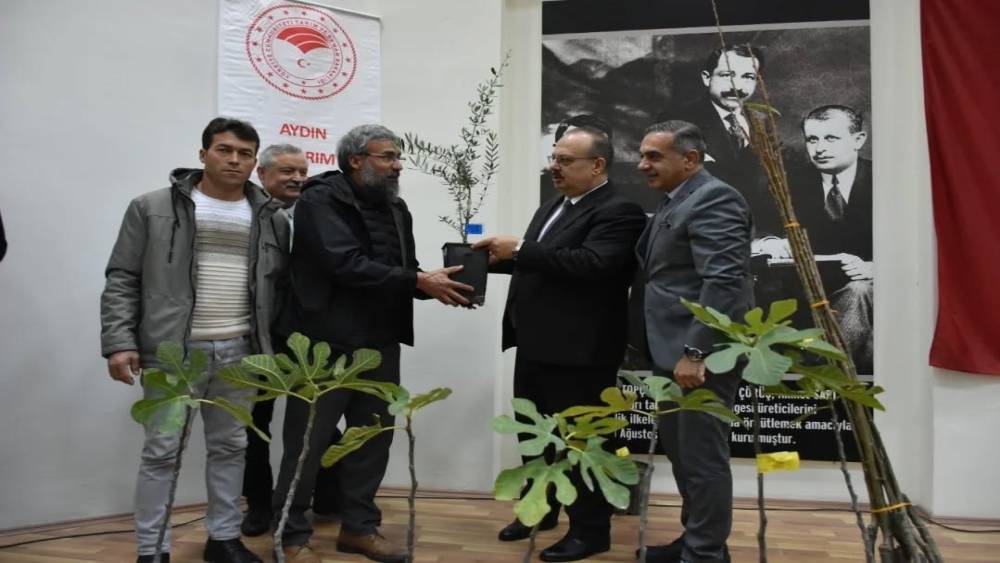 AYDIN’DA ÜRETİCİLERE 74 BİN 90 FİDE DAĞITILACAK