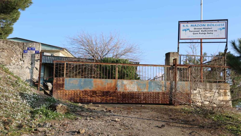 &Uuml;reticilere umut olacaktı, şimdi &ccedil;&uuml;r&uuml;meye terk edildi