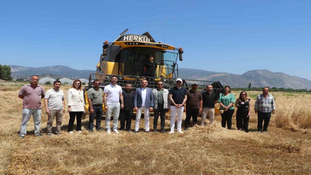 Söke Belediyesi’nde yeni sezonun buğday hasadı