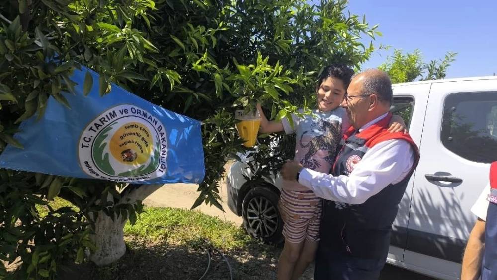 Aydın’da üreticilere 12 bin Akdeniz meyve sineği tuzağı teslim edildi