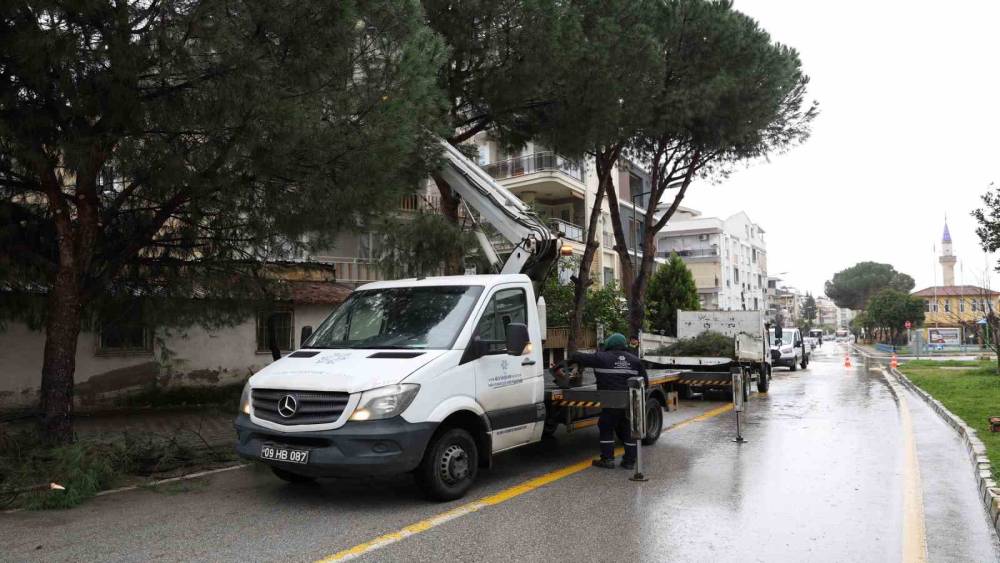 Aydın B&uuml;y&uuml;kşehir Belediyesi&rsquo;nden Efeler&rsquo;in yeşil alanlarına bakım