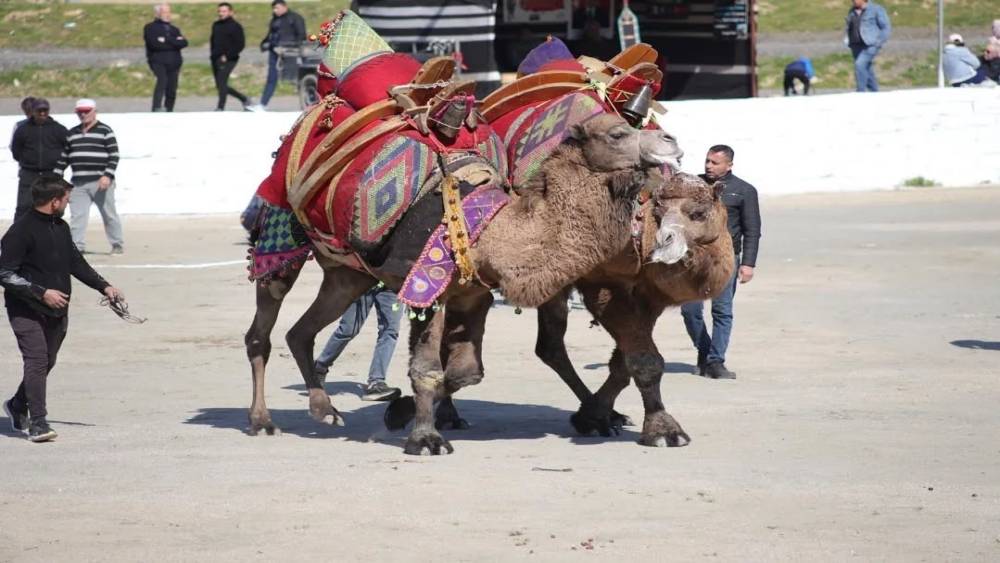 Başkan Kaya: "Bu yıl sezonun ilk g&uuml;reşlerini yapmak bizlere nasip oldu"
