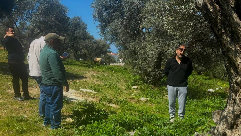 Endemik T&uuml;l&uuml;şah i&ccedil;in inceleme yaptılar