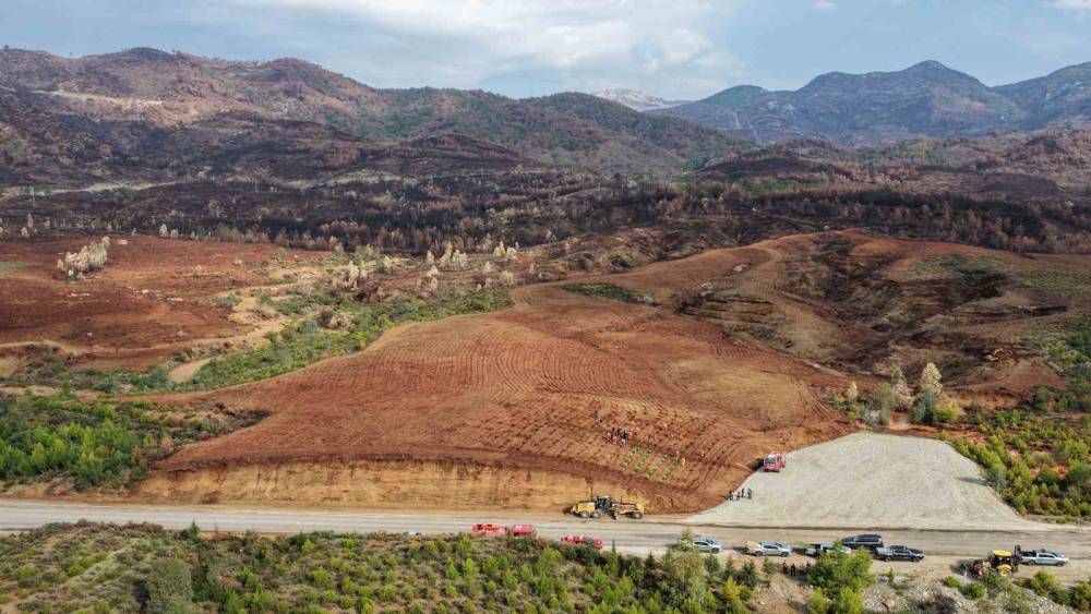Aydın’da 17 lokasyonda fidan dikilecek
