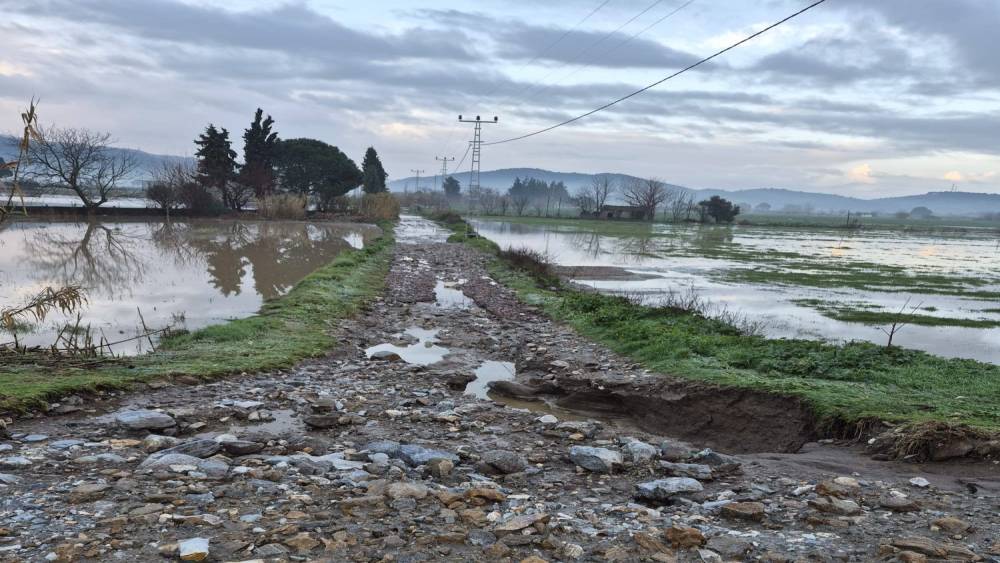 S&ouml;ke&rsquo;de aşırı yağışlar sonrası tarım alanlarında hasar tespiti