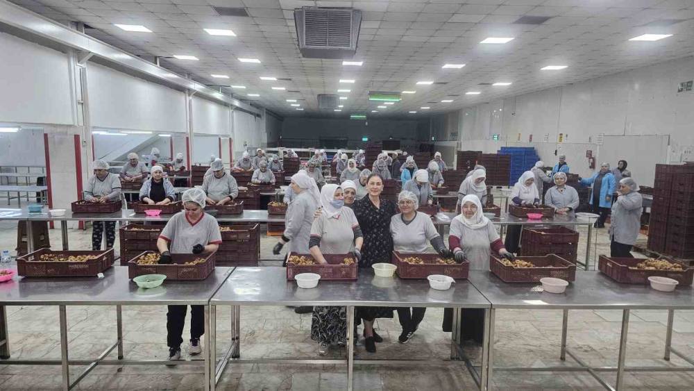 Kaymakam Kan: Kadınlar yine kadınların hayatını kolaylaştırıyor