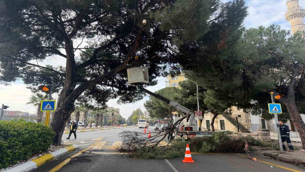 Aydın&rsquo;ın en işlek noktasına estetik dokunuş
