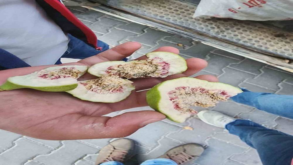 Buharkent&rsquo;te &uuml;reticiler &rsquo;belgesiz ilek&rsquo; kullanımına karşı uyarıldı
