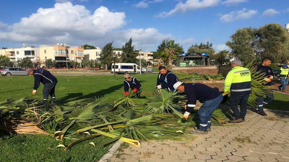 Didim Belediyesi il&ccedil;e genelinde &ccedil;alışmalarını s&uuml;rd&uuml;r&uuml;yor
