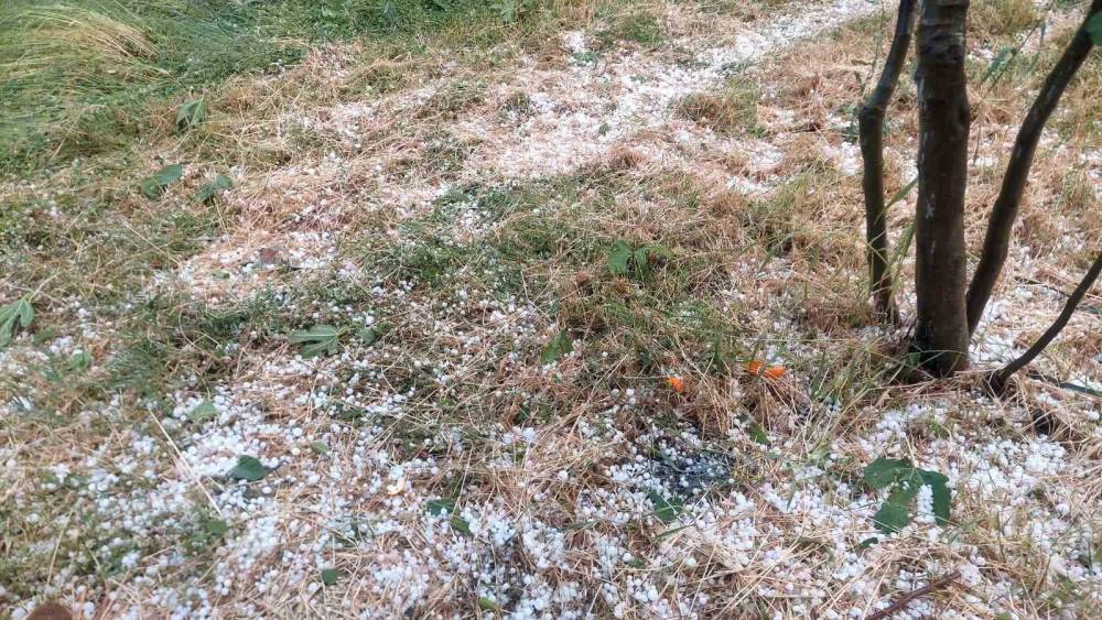 Aydın&rsquo;da dolu etkili oldu, ağa&ccedil;lar zarar g&ouml;rd&uuml;
