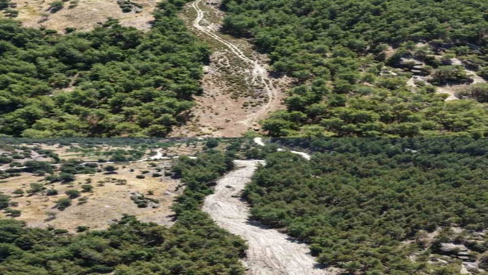 Çine’de orman yangınlarına karşı önleyici temizlik çalışması yapıldı
