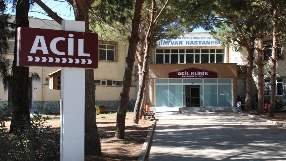 AD&Uuml; Hayvan Hastanesi&rsquo;nde online randevu d&ouml;nemi başladı

