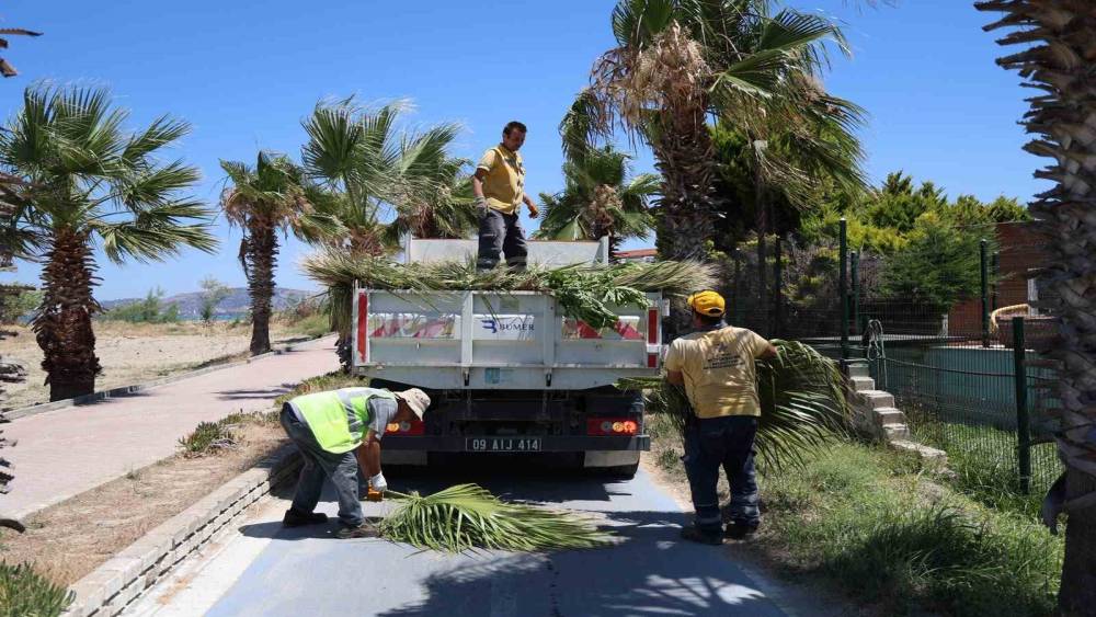 Kuşadası&rsquo;nda yeşil alanlarda kapsamlı bakım ve d&uuml;zenleme &ccedil;alışması
