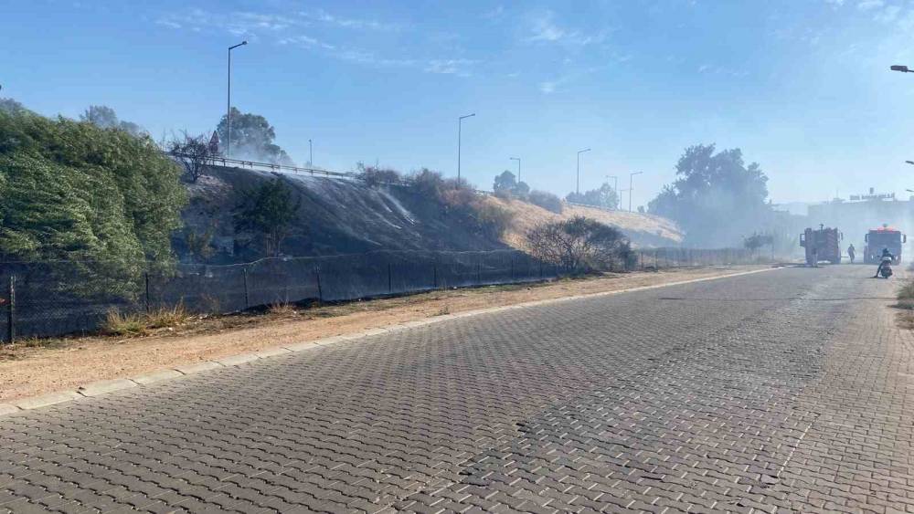 Efeler&rsquo;de otluk yangını
