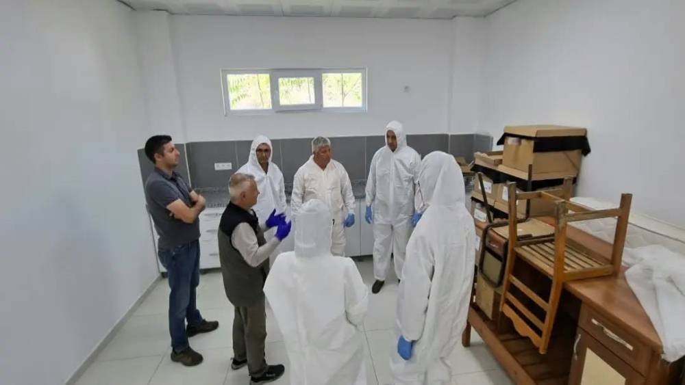 Kestane gal arısına karşı biyolojik m&uuml;cadele g&uuml;&ccedil;lendiriliyor
