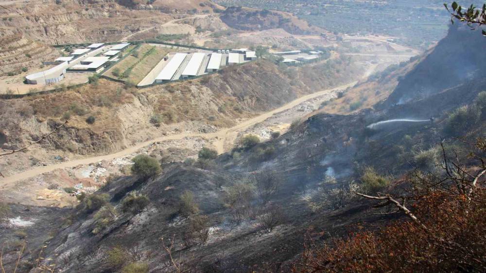 Ekiplerin hızlı m&uuml;dahalesi can dostları ve hastaneyi yanmaktan kurtardı
