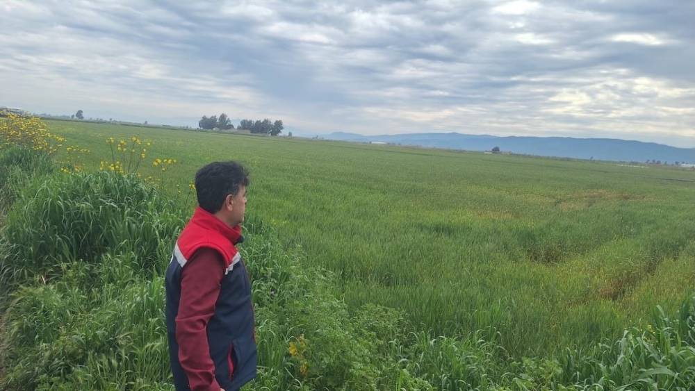 S&ouml;ke&rsquo;de hububat ekili araziler denetlendi
