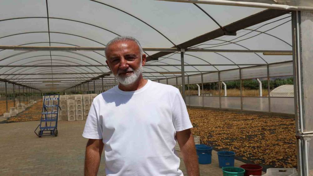 İncir üreticisi tek çatı altında toplanmak için çalışma başlattı
