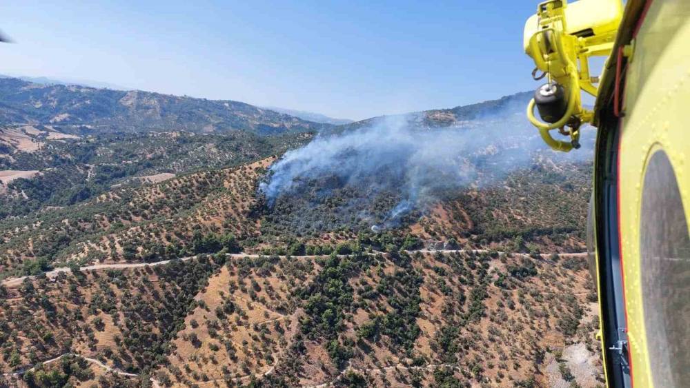 Efeler'deki zirai alan yangınına havadan ve karadan müdahale sürüyor