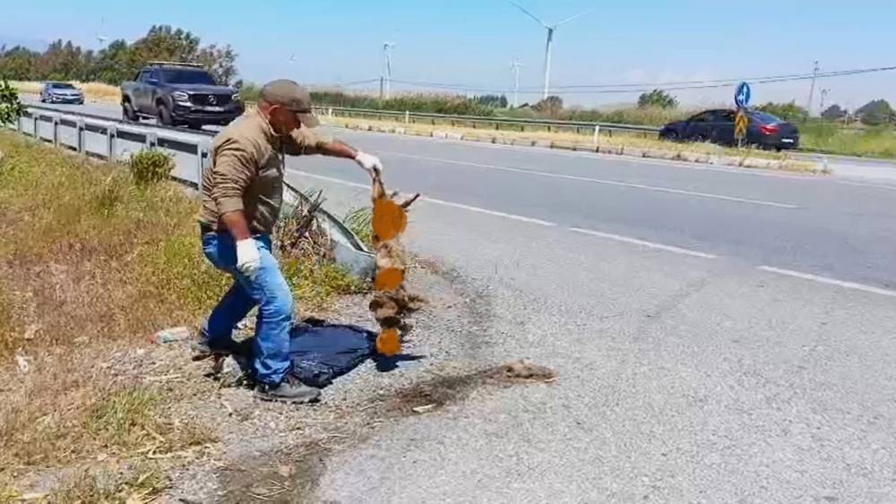 Başkan Sürücü: 