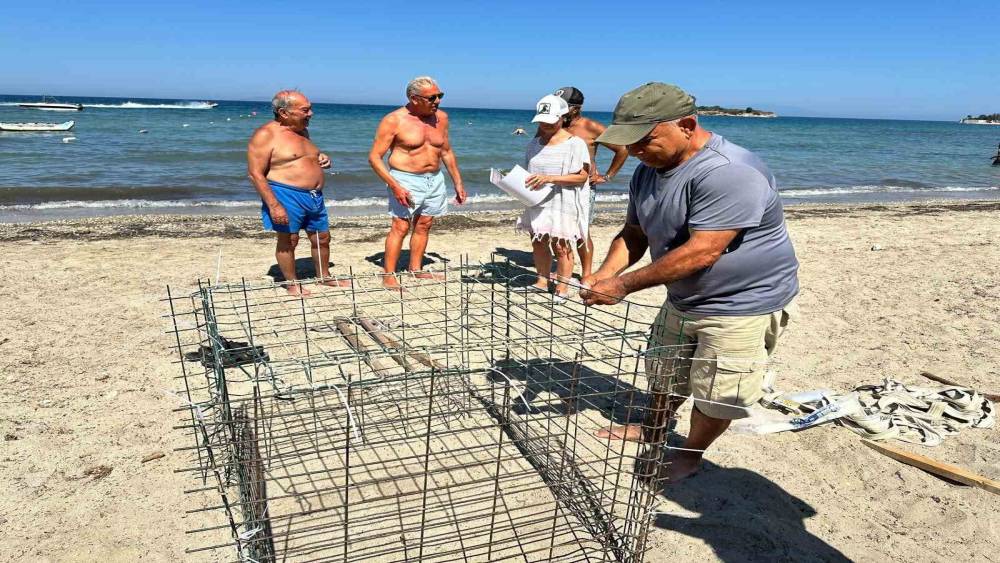 Didim&rsquo;de ikinci caretta yuvası koruma altına alındı
