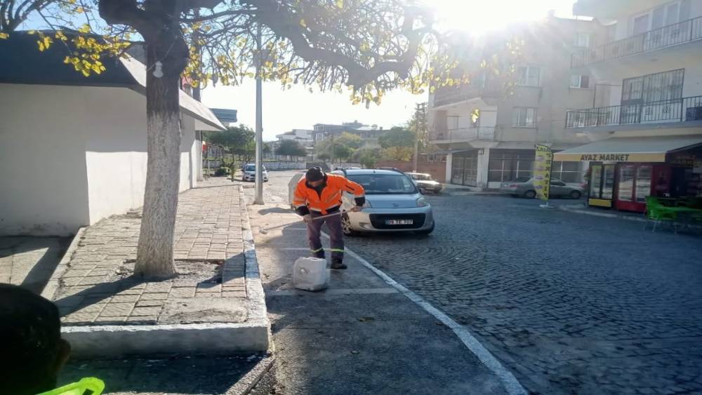 Germencik&rsquo;te kire&ccedil;leme ve ağa&ccedil; budama &ccedil;alışması