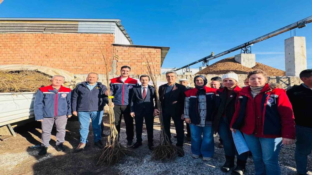 BOZDOĞAN&rsquo;DA 8 BİN 700 ADET FİDAN DAĞITILDI