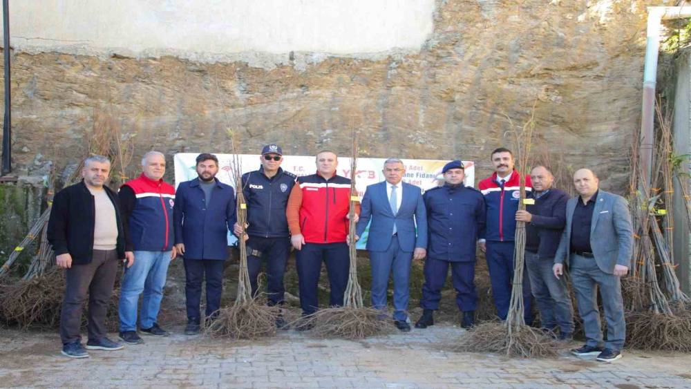 KÖŞKLÜ ÜRETİCİLERE KESTANE FİDANI DAĞITILDI