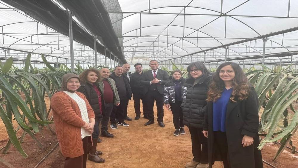 Efeler&rsquo;de Pitaya G&uuml;&ccedil;leniyor projesi incelendi