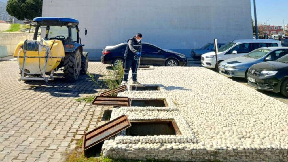 Koçarlı Belediyesi’nden haşere ve yabani otlara erken müdahale
