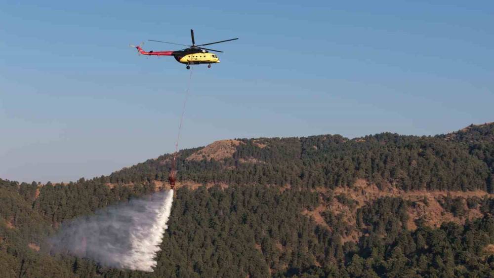 Kuyucak&rsquo;taki orman yangınında 20 saat geride kaldı