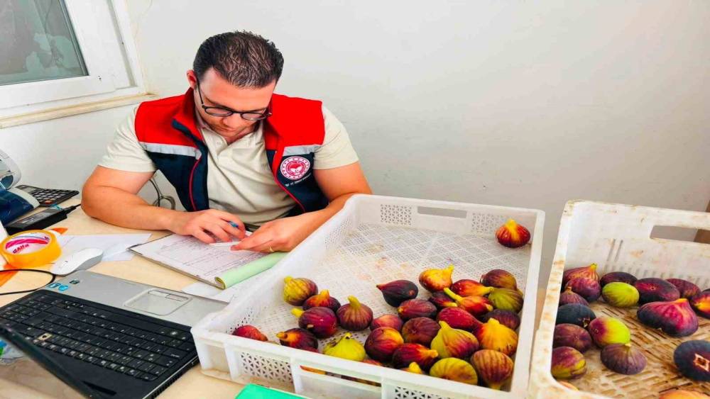 Nazilli&rsquo;de taze incir denetimi
