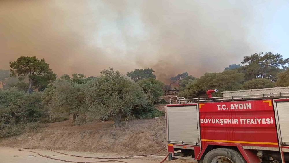 İtfaiye erleri alevlerin arasında kalan kaplumbağayı b&ouml;yle kurtardı
