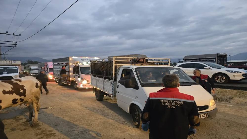Nazilli Hayvan Pazarı a&ccedil;ıldı, denetimler sıkılaştırıldı
