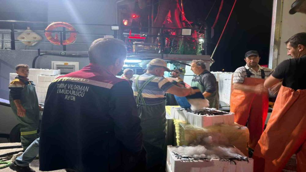 Didim&rsquo;de Hamsi Kotası denetimi yapıldı