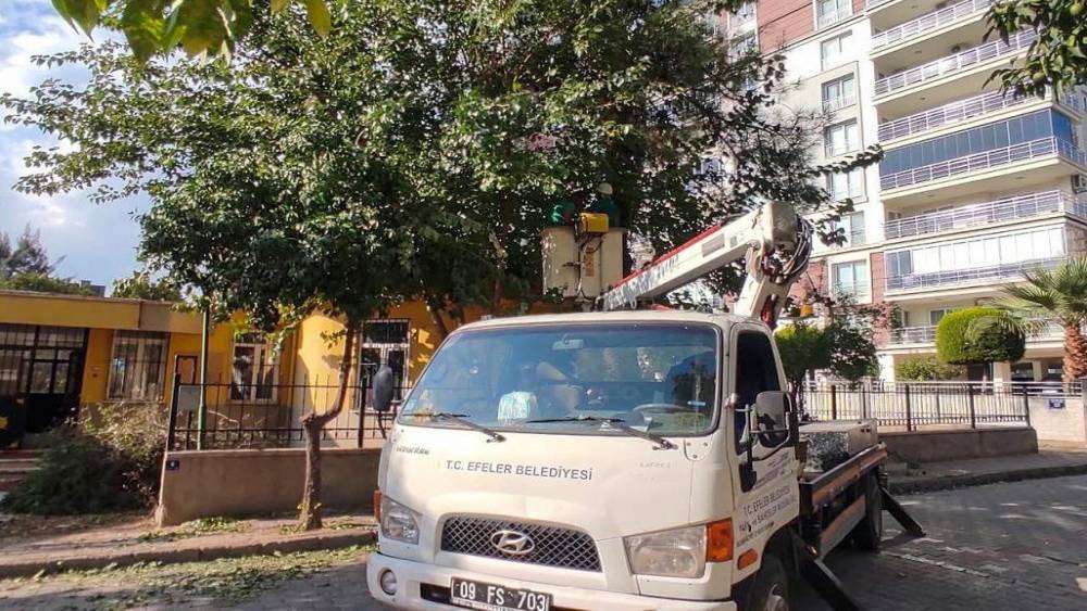 Efeler&rsquo;de yeşil alanlara bakım