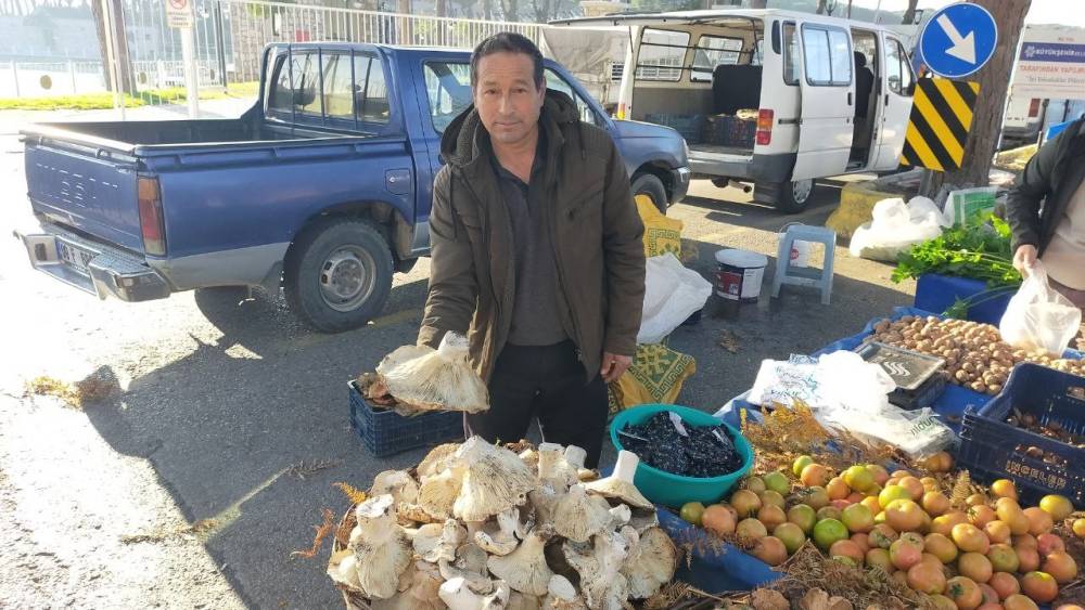 Aydın&rsquo;daki dev mantarlar pazarda ilgi odağı oldu