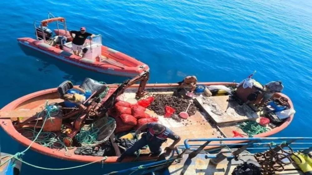 Aydın&rsquo;da yasa dışı avcılığa ge&ccedil;it verilmiyor: "Bir yılda 5 bin denetim yapıldı"